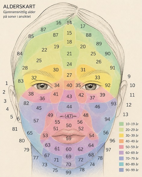Illustrasjon av et alderskart over ansiktet som viser soner og tall knyttet til kinesisk medisin og ansiktsdiagnostikk.